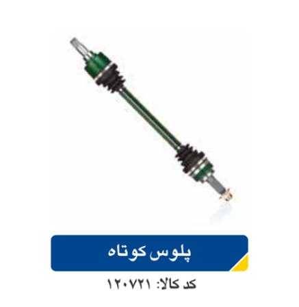 پلوس کوتاه ریو اپکو