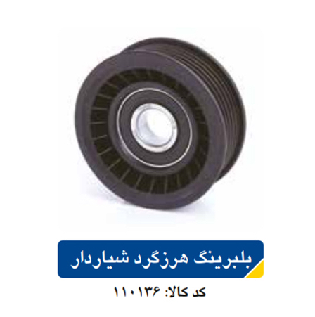 بلبربنگ هرزگرد شیاردار